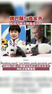 姆巴佩与张家齐将成为旅法熊猫命名人